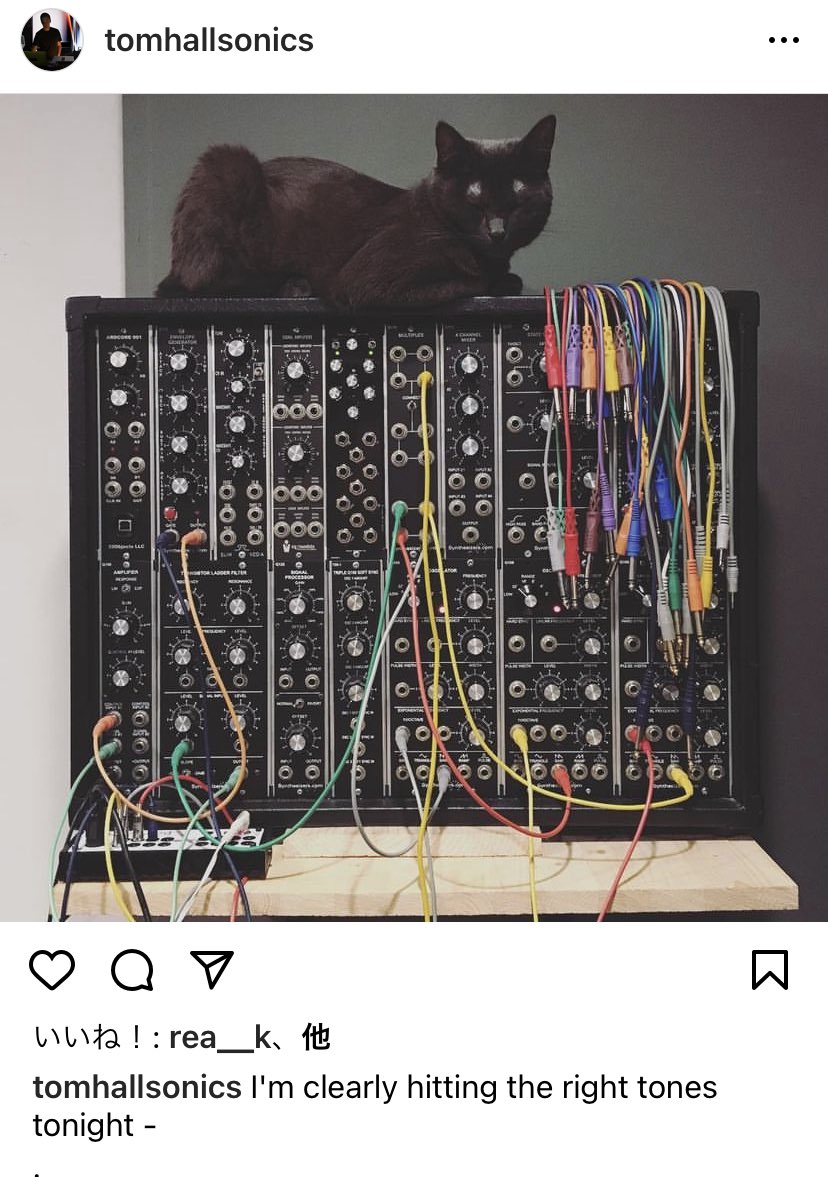 mistyminds's tweet photo. @Yebisu303 猫ちゃんと暮らせるようになるといいですね🥺
↓理想の #synthcat https://t.co/kdKkeybeJy