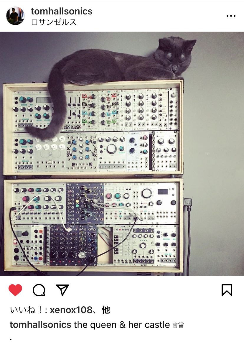 mistyminds's tweet photo. @Yebisu303 猫ちゃんと暮らせるようになるといいですね🥺
↓理想の #synthcat https://t.co/kdKkeybeJy