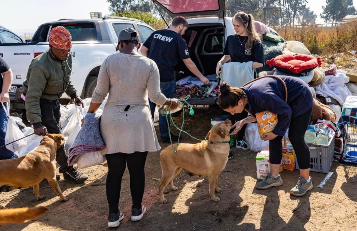 TheDogsTrust's tweet photo. Mandela Day! 

What a great day…lots of dogs helped with dog food, deworming, meds and blankets. 

Lapa Pub  Fourways Gardens Shopping Centre joined in the fun and helped with food and juice for the community, thank you guys, it was an absolute privilege to work with you! https://t.co/AM6gXwmUOG