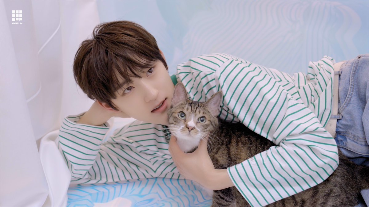 DRIPPIN's tweet photo. [🎥] [DRIP_IN] 뭉치타🐱와 함께 한 '헤이마리' 화보 비하인드 | DRIPPIN(드리핀)

▶ https://t.co/5TiW9JbTPn
▶ https://t.co/rLXI9cJHwK

#DRIPPIN #드리핀
#heymari #헤이마리 https://t.co/uj995kzmLI