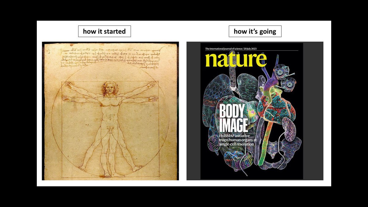 Come check out #_hubmap’s new body of knowledge and discoveries in the newly released @Nature paper package – Da Vinci himself would give us a Mona Lisa smile for this renaissance of technology and imaging! nature.com/articles/s4155…