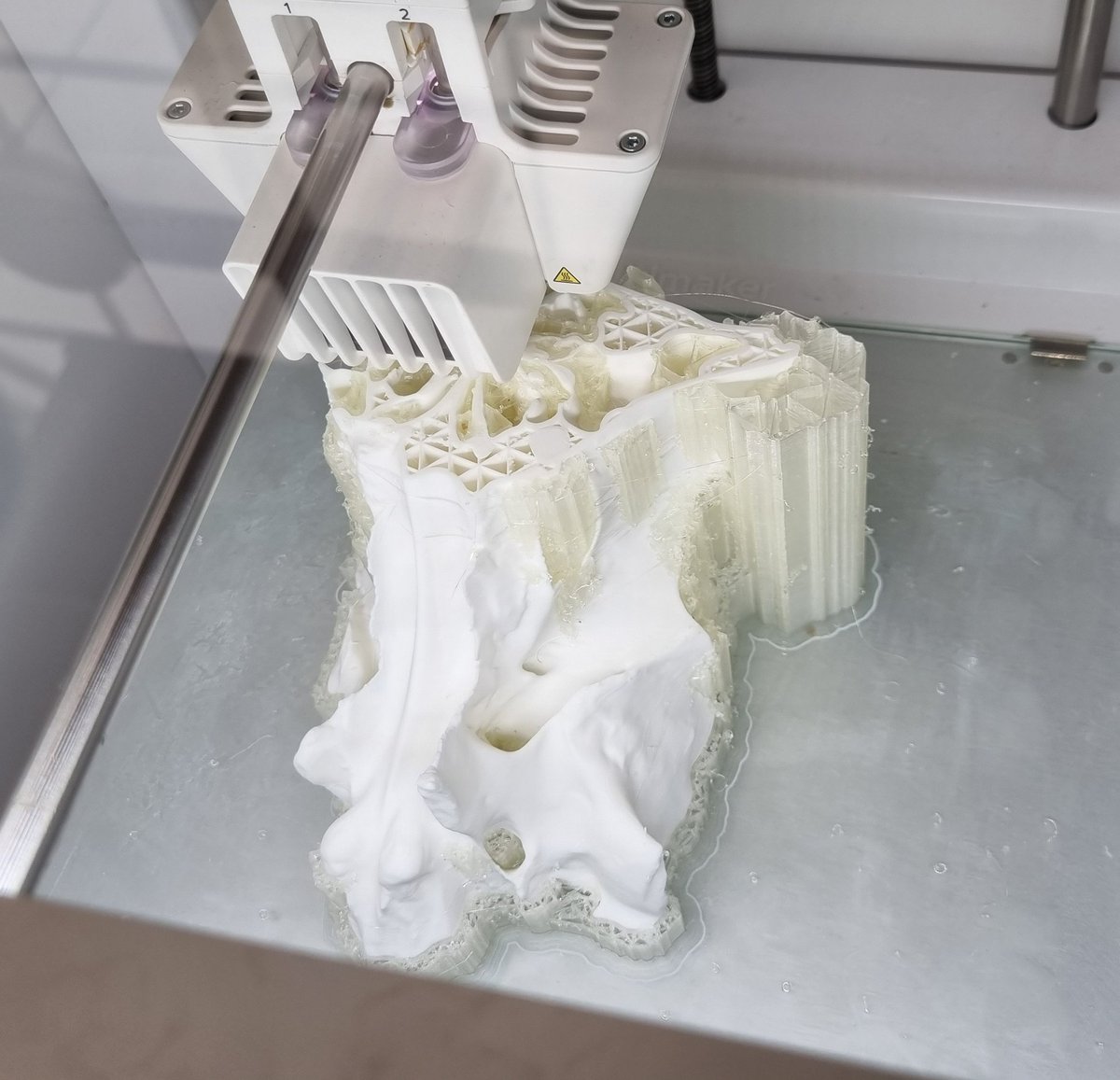 BoneDoctorPhD's tweet photo. My summer students continue to make some wonderful things: this is a fairly long print of a fascinating bone fragment: anyone want to hazard a guess what it is...? π
#osteology #forensicanthropology #BoneID https://t.co/HnXPhLwrKN