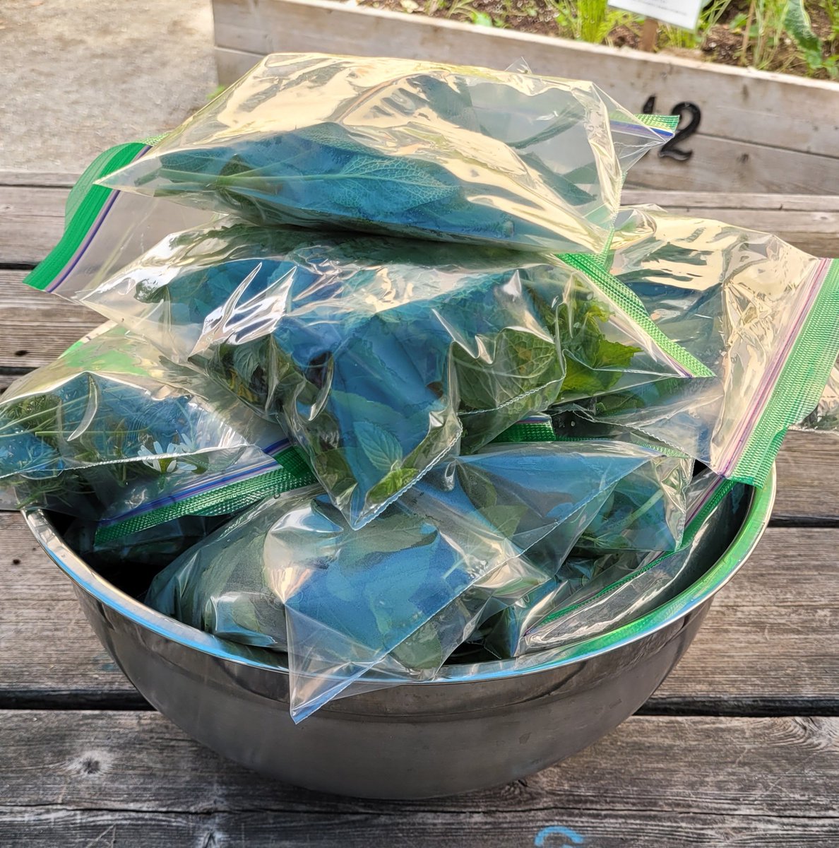 A huge THANKS to our BHS Growing Empowerment students and mentors who worked hard to get our #schoolgarden weeded before today's harvest for <a href="/BrooklineFood/">Brookline Food Pantry</a> Pantry: some greens, carrots, fresh herbs, and a few summer fruits! #wholekids #Community #Brookline