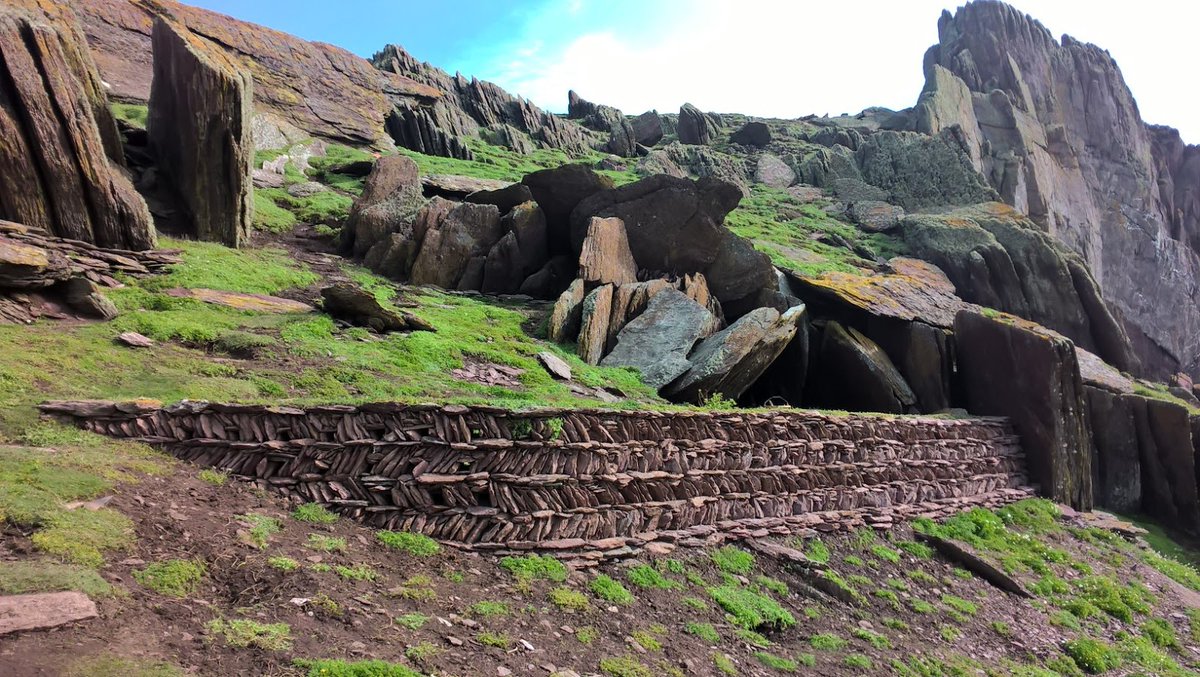 SkokholmIsland's tweet image. One of the Storm Petrels handled last night was ringed in Petrel Station box 11 by @billsbirding in 2019. Thirty birds later and we handled one ringed by @JodiemHenderson in 2021, from the very same box 11!!! Two probable siblings flying around together.