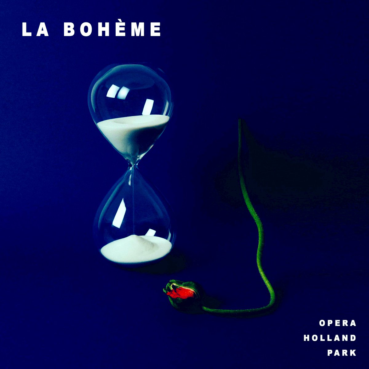 Adam J Gilbert tweet media