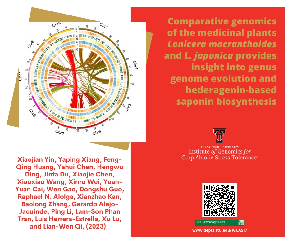 ttuigcast's tweet photo. Lonicera macranthoides (LM) and L. japonica (LJ) are medicinal plants widely used in treating viral diseases, such as COVID-19. Know more about this interesting research in our new publication. #medicinalplants #TTU #igcast
https://t.co/OMiO5KcLsI https://t.co/d5XK94hqX3
