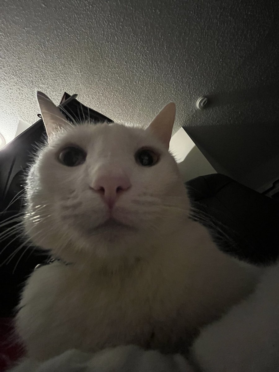 Paul Blart tweet media