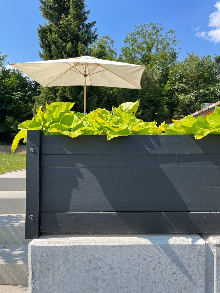 Du möchtest deine Blumen- und Pflanzkästen farbig gestalten? Wir zeigen wie du schnell &amp; einfach deine Holzkästen streichst.

vist.ly/5yts

#kolorat #diy #streichen #doityourself #paint #interior #instainterior #interiordesign #lustauffarbe