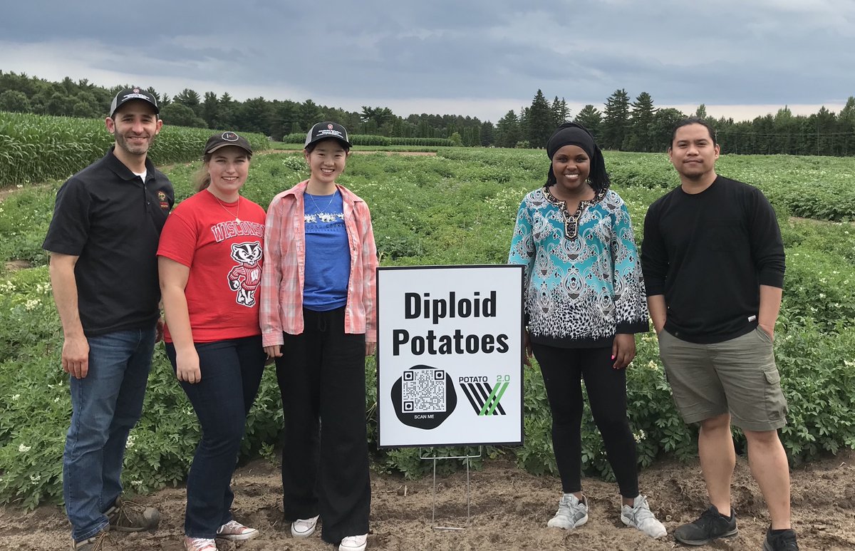 SCRI2xPotato's tweet photo. UW-Madison breeding group in front of their diploid trial at the Potato Field Day in Hancock, Wisconsin. https://t.co/0EpRGM3TXo