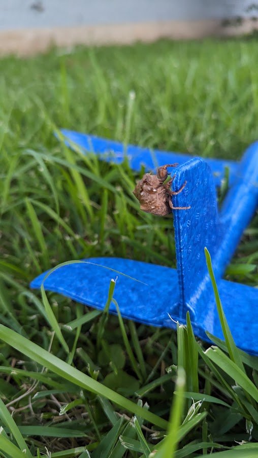 Hitching a ride for a lawn flight.
