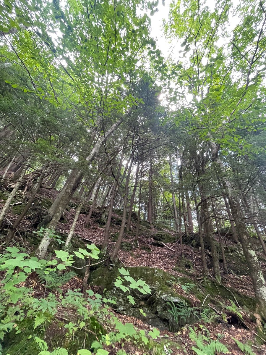 Erica2743858's tweet photo. I'm at Mill Trails Stowe, Vt in Stowe, VT https://t.co/Xx20xaJ9qq https://t.co/qsf53YLL2L