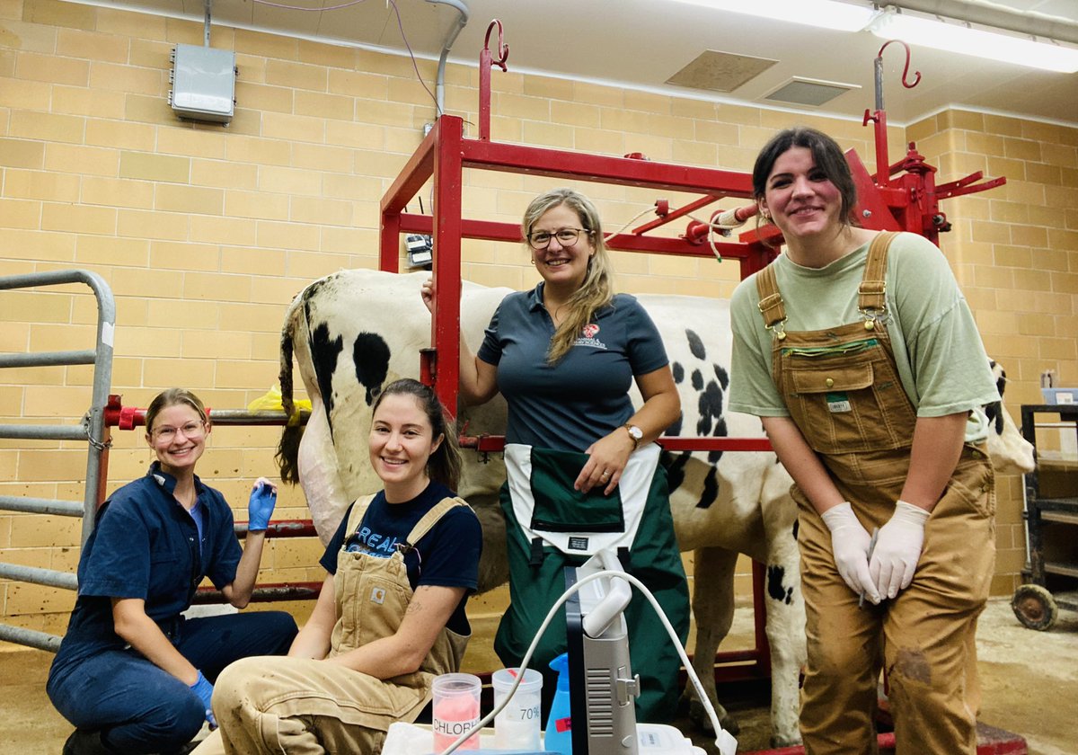 JimenaLaporta's tweet photo. Proud of this amazing team! 
Mammary biopsies and rumen fluid collections ✔️🐄 
@GuadagninAnne you will be missed! https://t.co/taUsm2ZqFr