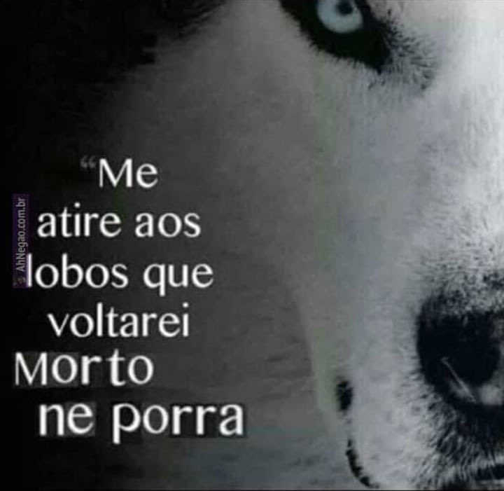 memes_horriveis's tweet photo. https://t.co/aCCabjrU0M