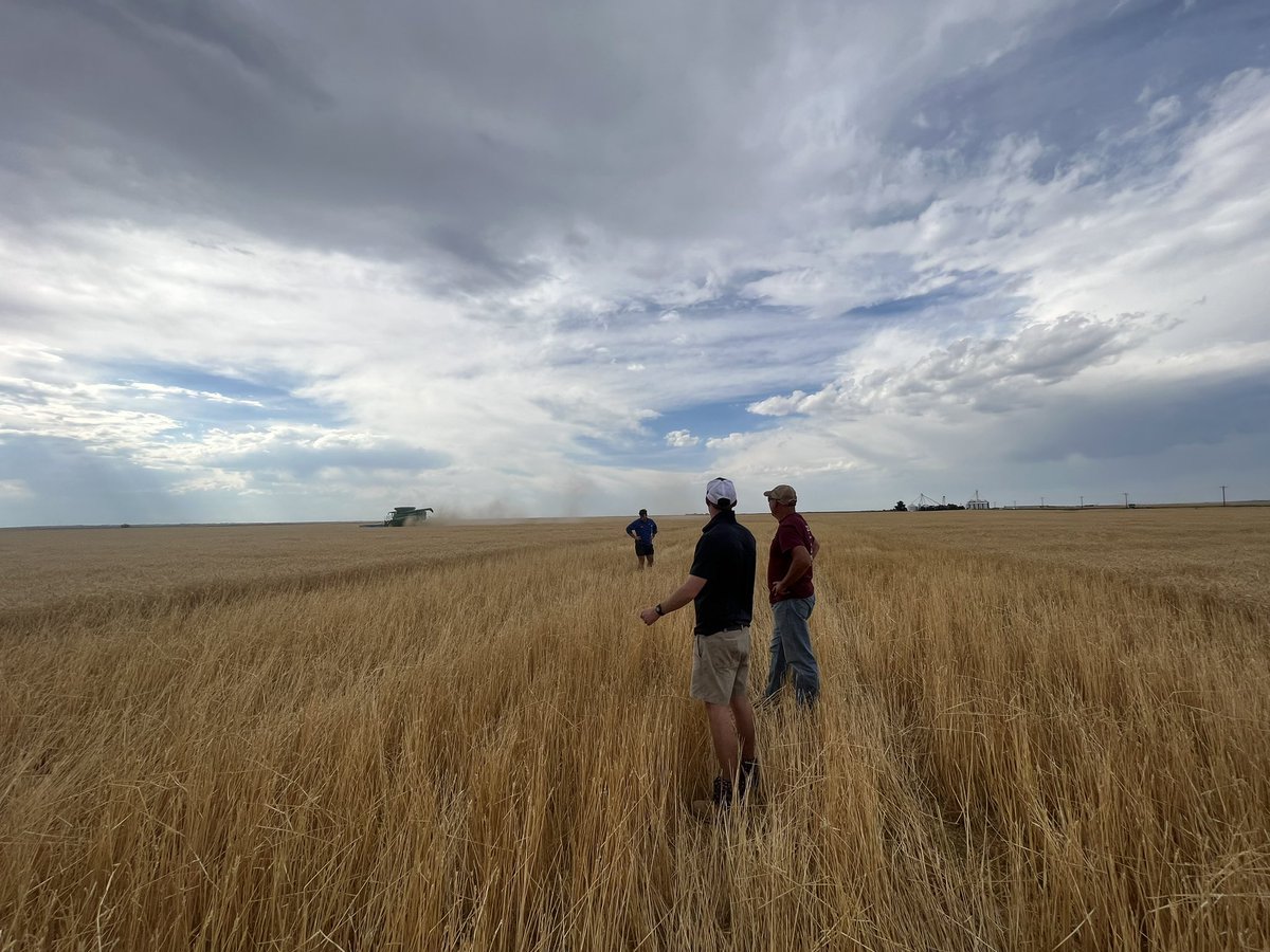 Alex Dalton (@alexandradalts) on Twitter photo Incredible time at Kalcevic Farms Inc, Bennett, Colorado. Extremely impressive farming with minimal soil moisture and are incredible people. <a href="/RichieQuigley/">Richie Quigley</a> Incredible time at Kalcevic Farms Inc, Bennett, Colorado. Extremely impressive farming with minimal soil moisture and are incredible people. <a href="/RichieQuigley/">Richie Quigley</a>