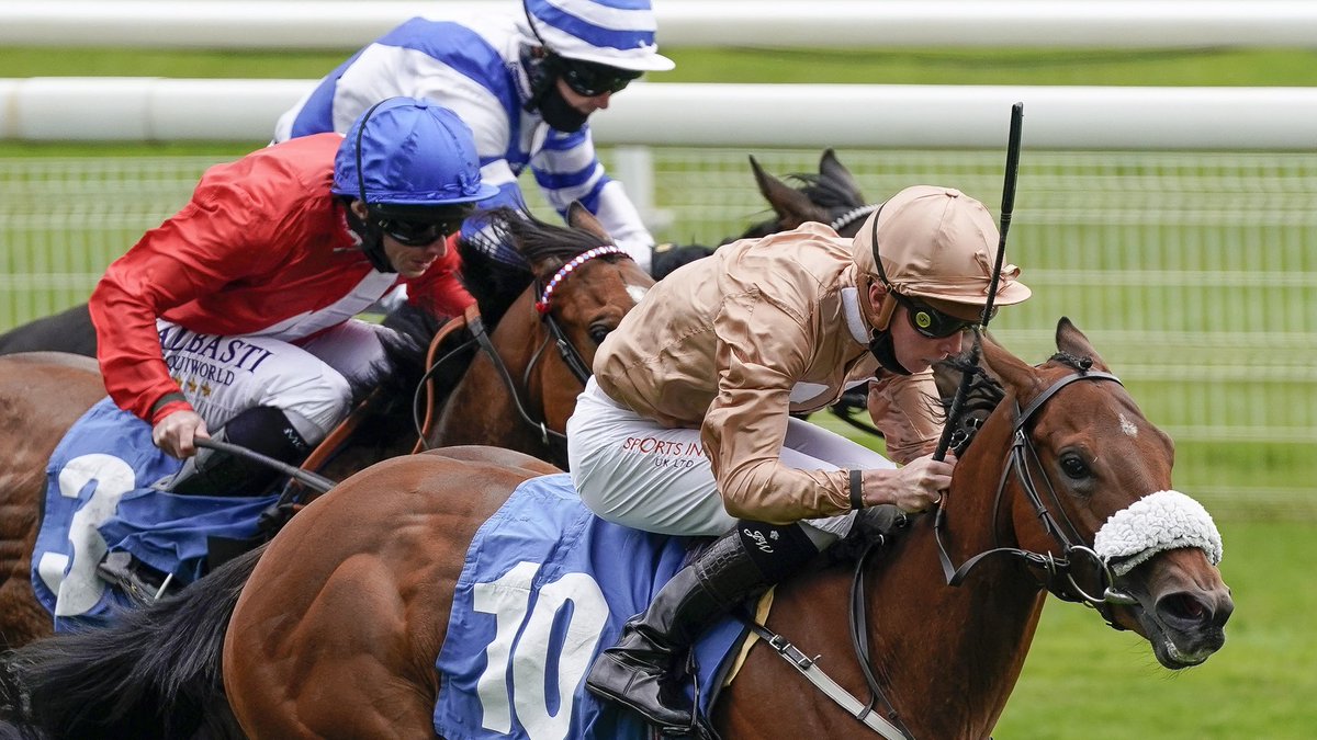 FBA_Agents's tweet photo. Congratulations to @BlandfordBldstk who purchased 3 Stakes winners this weekend. All purchased @Tattersalls1766 October Yearling Sale ๐
#Araminta #Nymphadora #Swingalong https://t.co/K03YPwbpiX