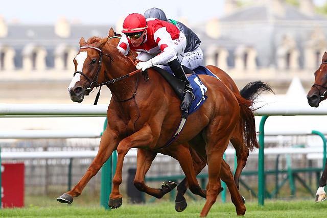 FBA_Agents's tweet photo. Congratulations to @BlandfordBldstk who purchased 3 Stakes winners this weekend. All purchased @Tattersalls1766 October Yearling Sale ๐
#Araminta #Nymphadora #Swingalong https://t.co/K03YPwbpiX