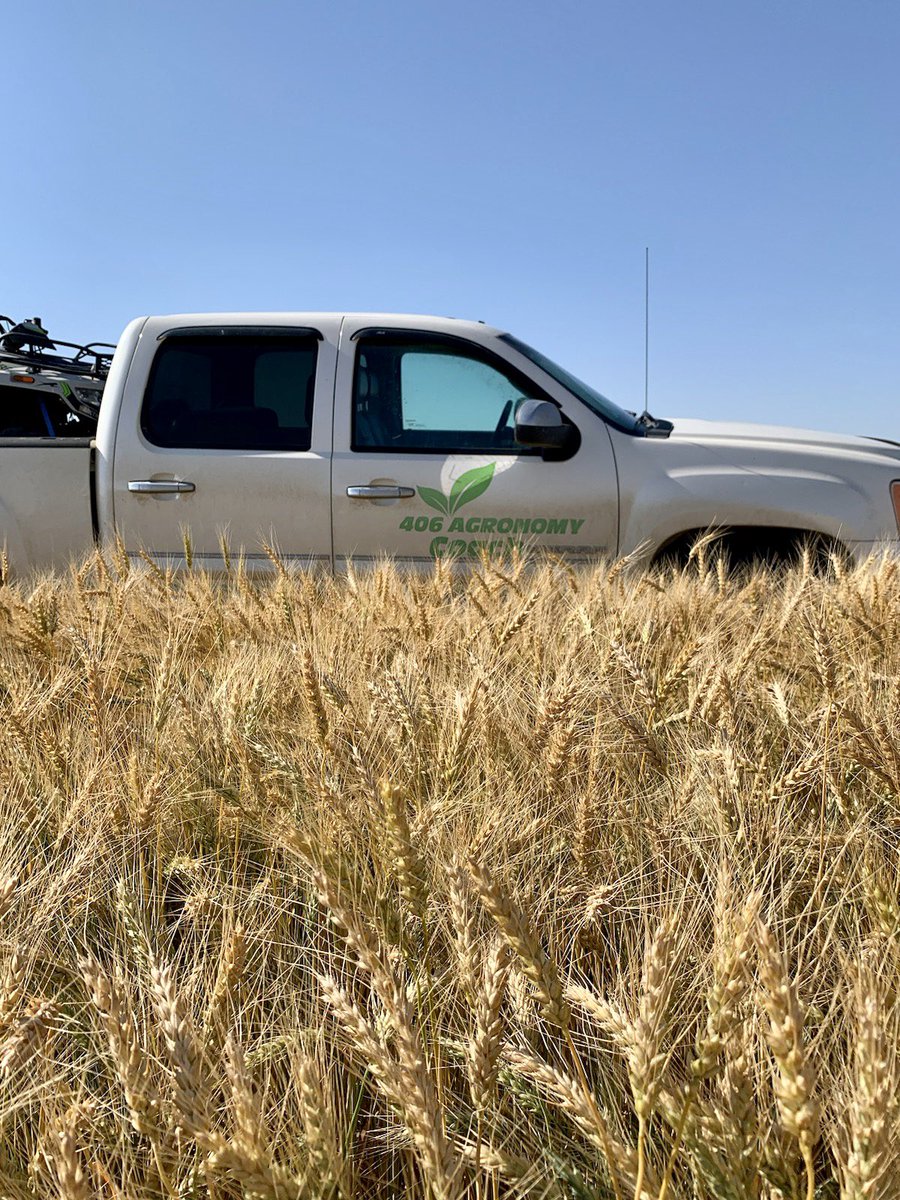 406 Agronomy tweet media