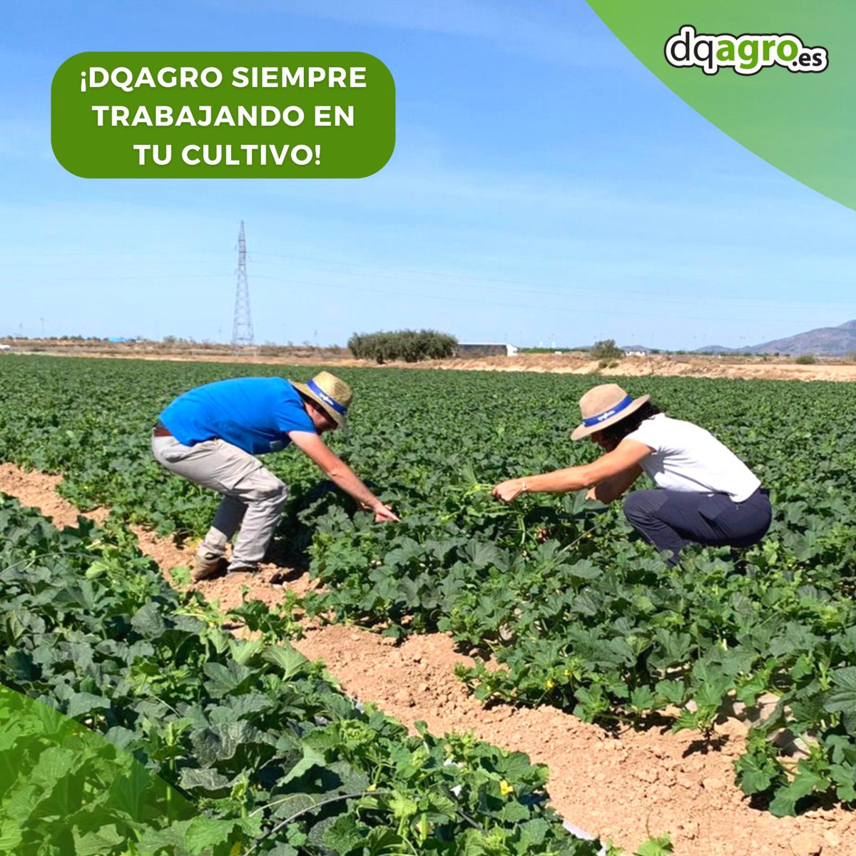 En DQAgro somos un EQUIPO ❤️

¡Estamos disponibles para resolver tus dudas o consultas! No dudes en preguntarnos ☺️ 

#valcure #bioracionales #babyleaf #agriculturasostenible #medioambiente #sostenibilidad #riegointeligente #agriculturainteligente #datalogger #agricultura