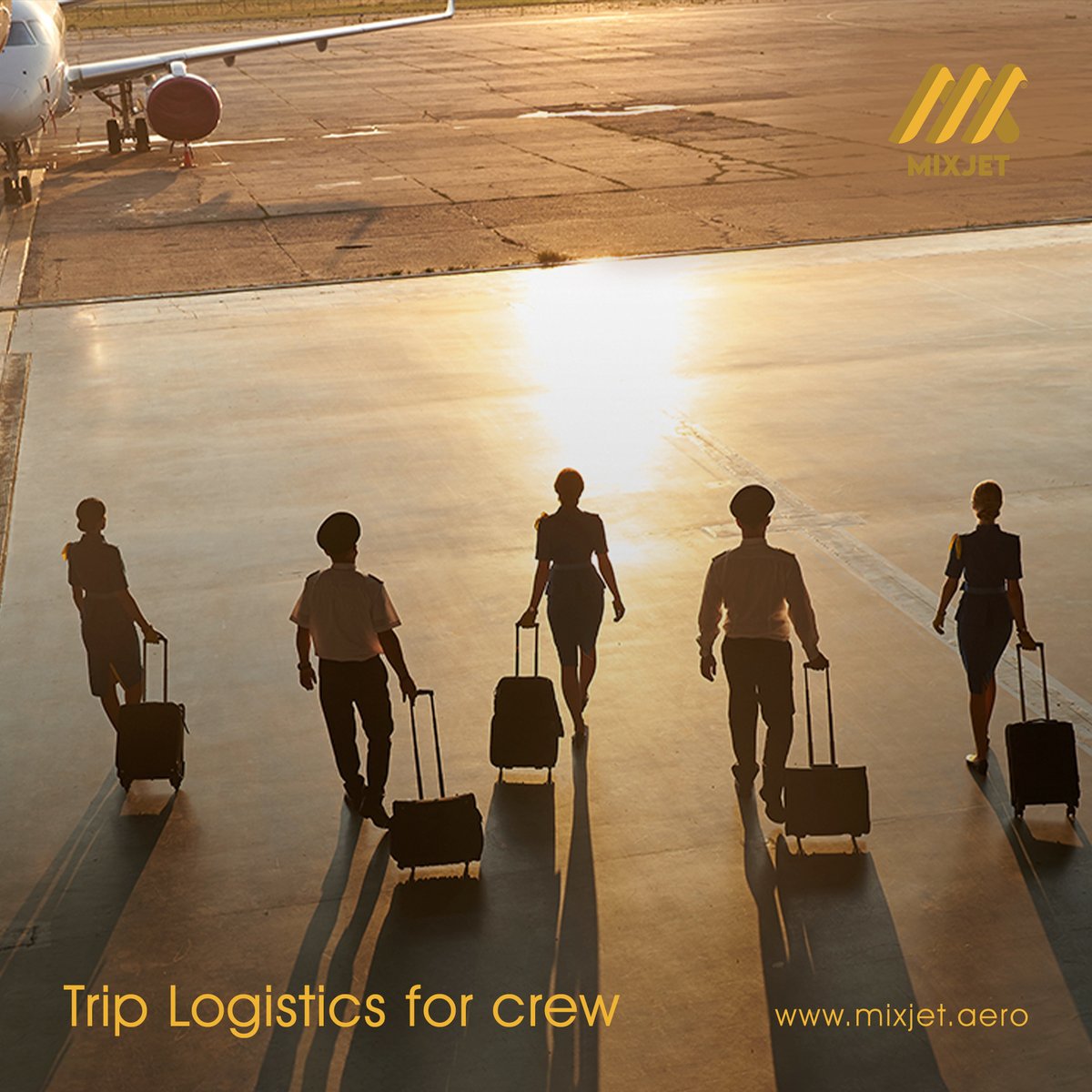 MixJet Flight Support tweet media