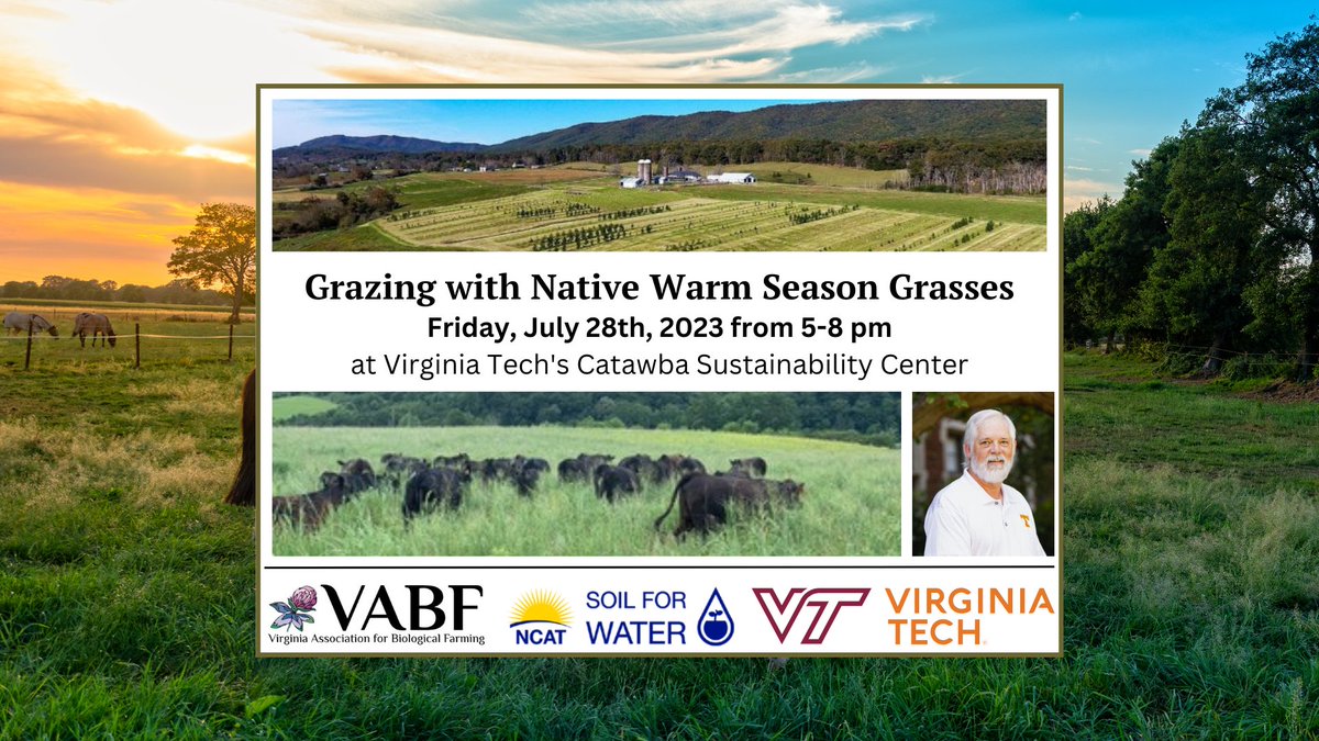 VABFarming's tweet photo. Next Friday, July 28th, 5-8 pm at the Catawba Sustainability Center: Grazing with Native Warm Season Grasses 🌿 Considering incorporating Native Warm Season Grasses (NWSG) into your grazing operation? https://t.co/AFWwwQM1fy https://t.co/vb8grmP9wx
