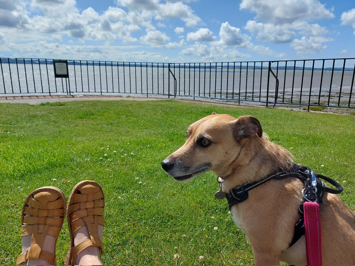 Nothing like sea air to blow away the imposter syndrome!