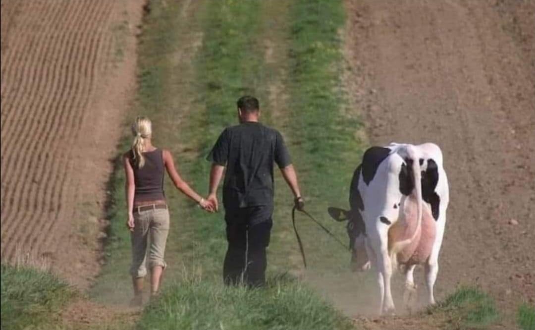 —Anoche soñé contigo.
—¿Qué soñaste?
—...