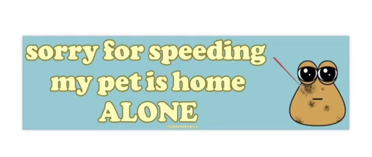 LangsfordR's tweet photo. New bumper sticker https://t.co/wbO5zDoRlK