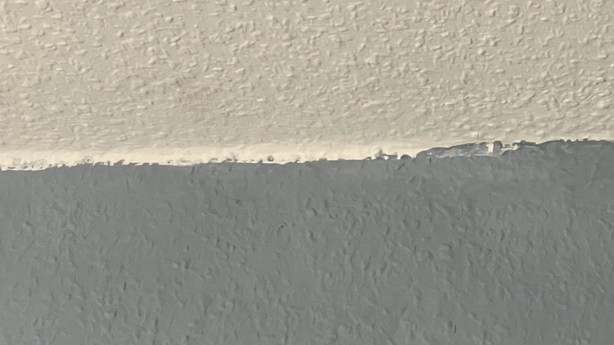 sbamueller's tweet photo. Ich hatte mit Krepp und Spezialcrepp angeklebt. Dennoch diese unschönen Übergänge. Was kann ich tun? Wo gibt es Anleitungen?
#DIY #Streichen #Renovierung https://t.co/LUyXFdj0ZG