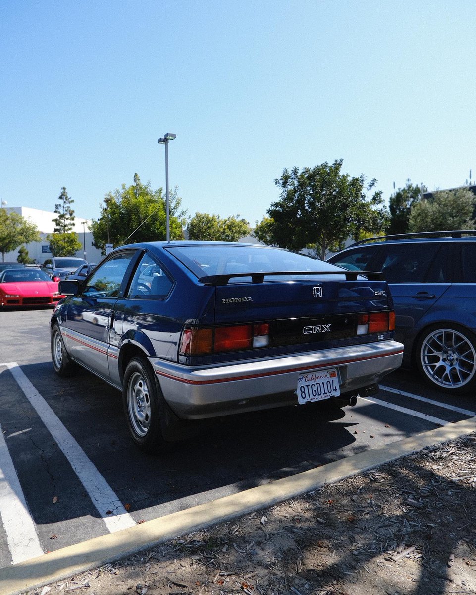 The parking lot at work has been amazing for the last couple days.