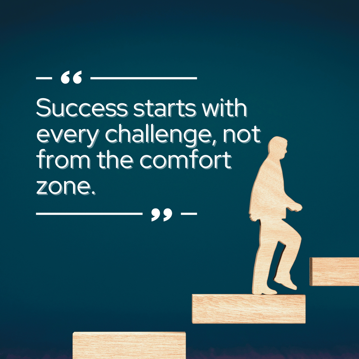 Mary Cook tweet media