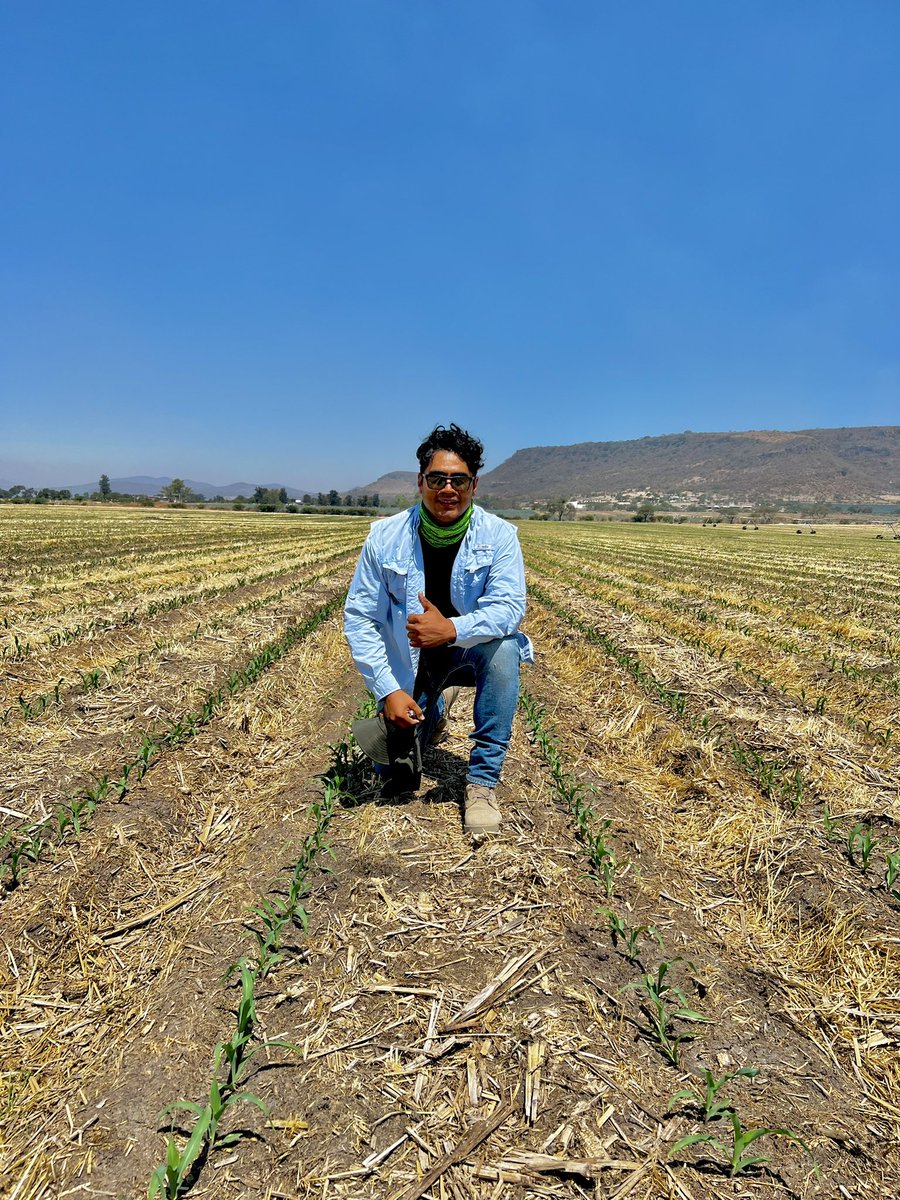 La Agricultura de conservación es una de las herramientas más importantes para volver más eficientes los sistemas productivos.

No es fácil, no es rápido, pero es posible.

En la imagen estoy en uno de los ranchos en AC mas grande en Mexico.
3 años nos costó
