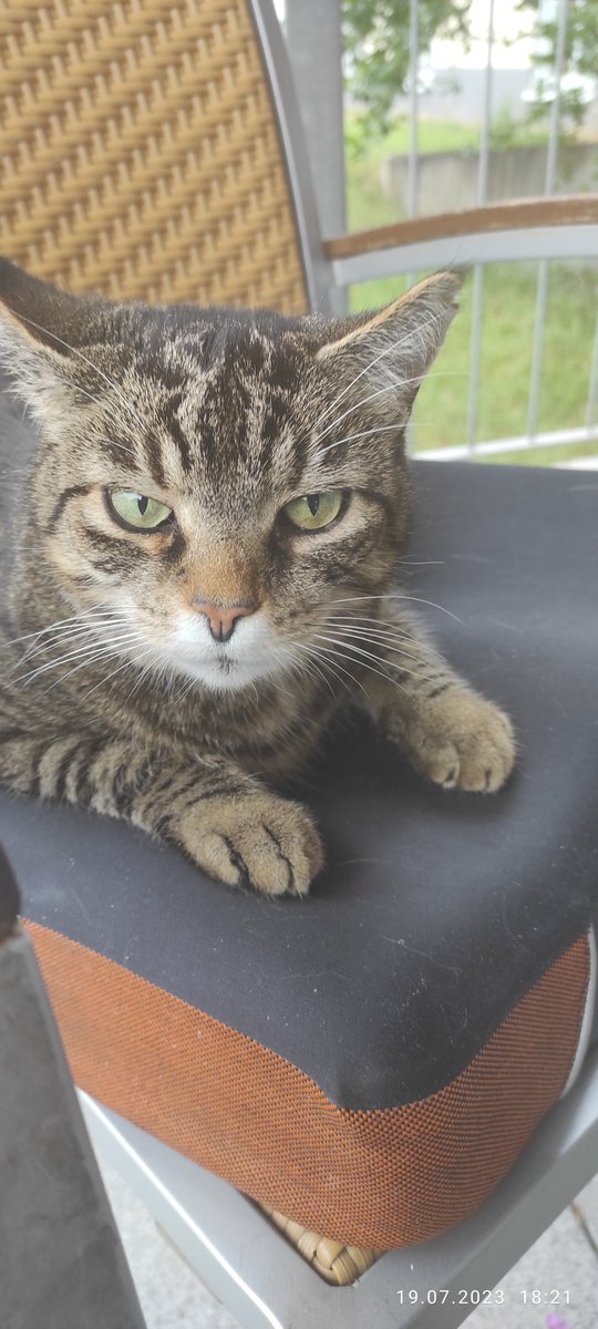 MasterRelaxe's tweet image. Ma ohne Worte...