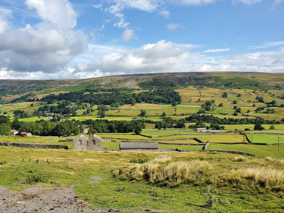 tunde_art's tweet photo. The colours of summer. 

#yorkshire #grinton #swaledale #summer #yorkshiredales #nature #countryside #barn #hiking #green https://t.co/h37feG7028