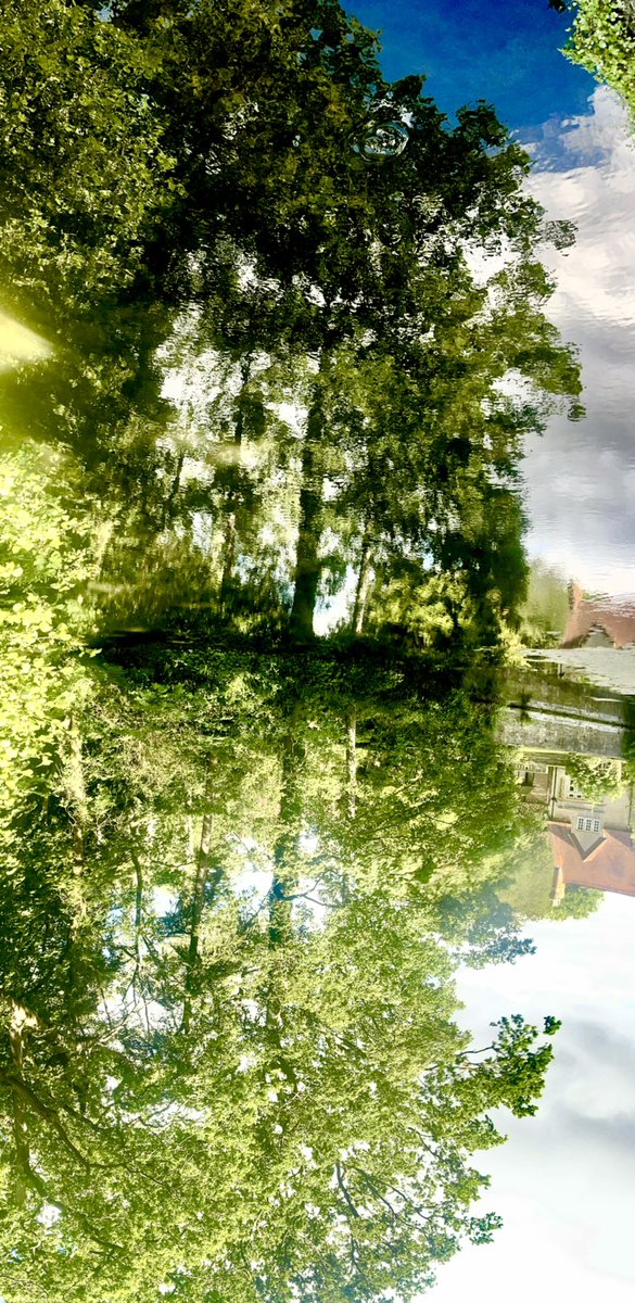 magdalenoxford's tweet photo. #magicmagdalen https://t.co/4AbwHoKTkH