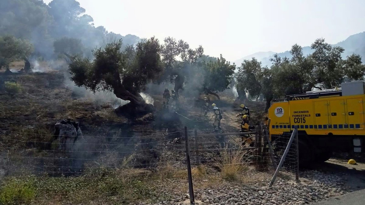 ibanat_IB's tweet photo. Incendi agrícola #CasJurat
Mitjans @AgriculturaGOIB actuant:
2 autobombes 10 brigadistes
1 AMA
#Selva #Mallorca
 @BombersdeMca @Emergencies_112 https://t.co/eGPna6wDbE