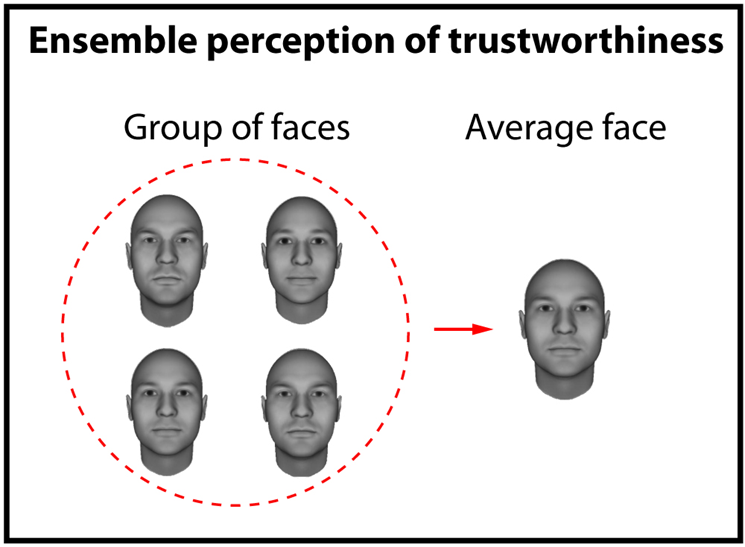 Fiammarini's tweet photo. Trustworthiness impressions are fundamental social judgments. How do we achieve them when we encounter crowds of faces? Our new work with @C_AMSutherland, @barbala_o, @MauroManassi shows that we can extract summary statistics of trust from groups. 

https://t.co/aKjdZkzjvW
🧵1/6 https://t.co/4pqtbhCO4L