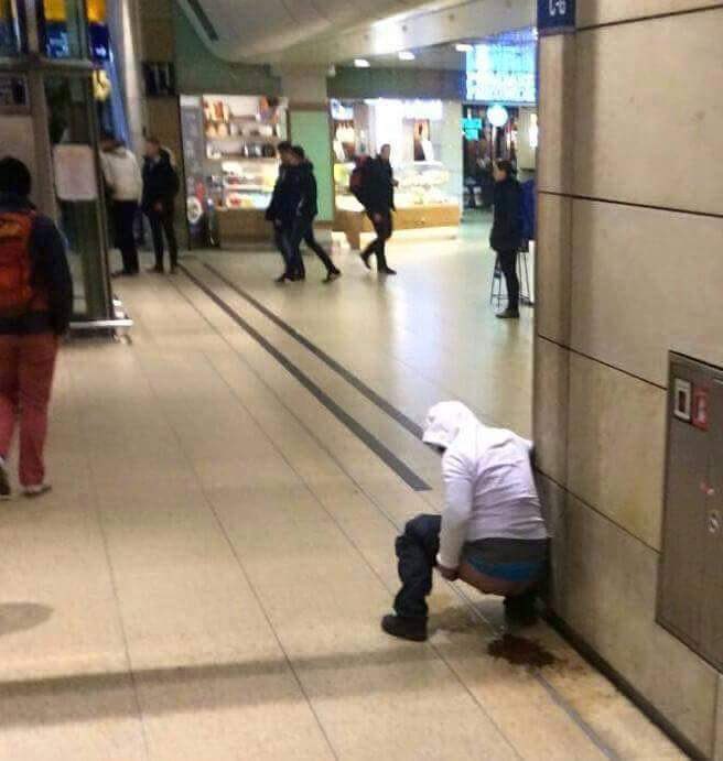 H96Tolga tweet media
