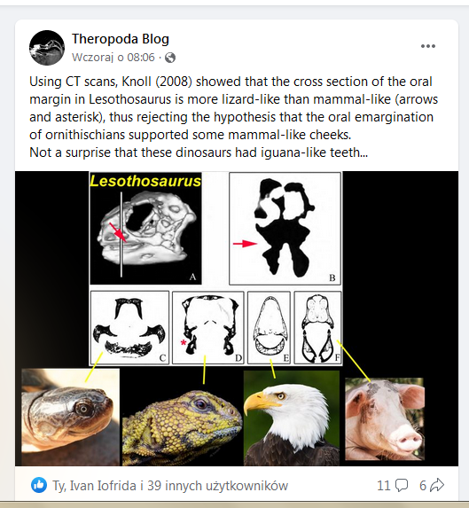 Szymon Górnicki tweet media