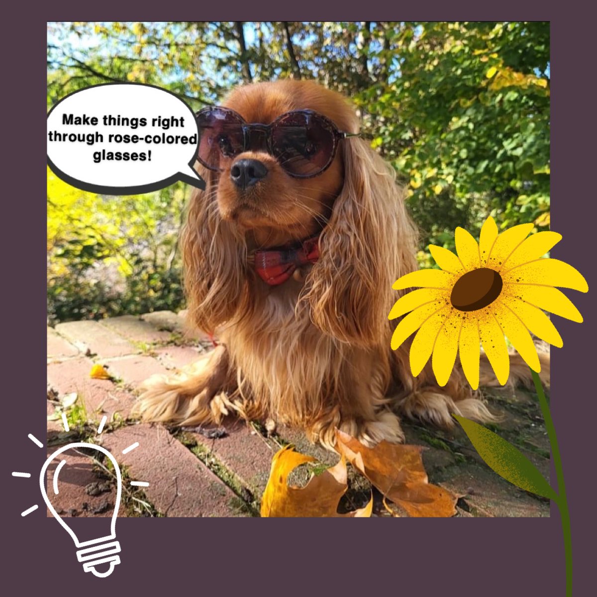 westminsterhub's tweet image. ☕️In other news:

👉the 🏚Ombudsman are still telling traumatised residents that they offer an “impactful” and “impartial” service.

⚖️Imbalances of power must be a figure of our imagination…💭

#makethingsright