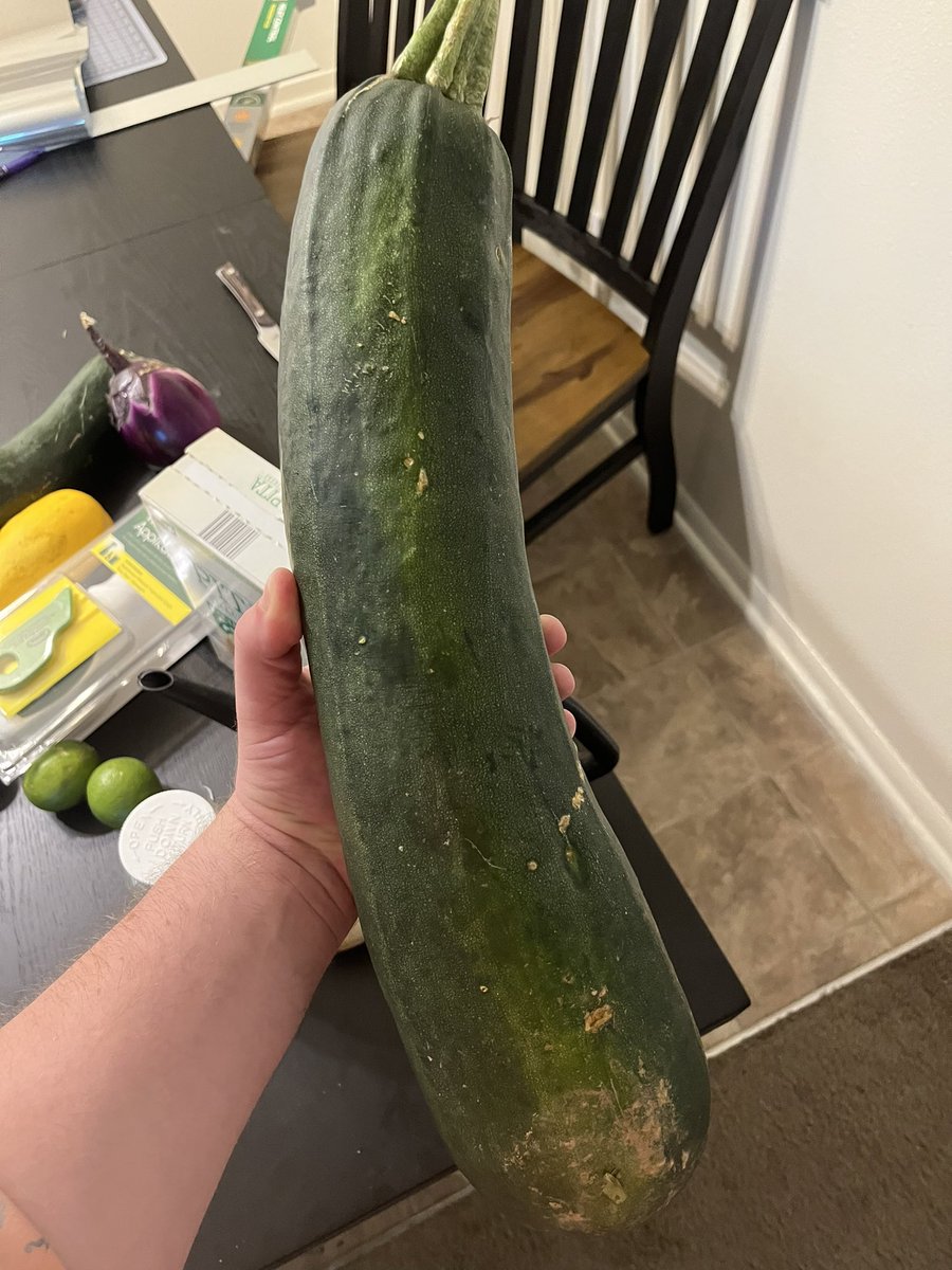 Spring_herself's tweet image. look at this massive zucchini