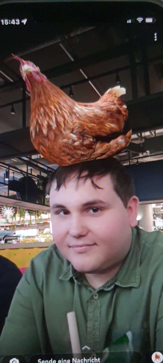 dari_spl's tweet photo. Wir haben es mit einem Notfall zu tun. Bei 300 Retweets wird @TimNindo sich dieses Bild für EINEN MONAT!!! als Profilbild nehmen. Beweis im Anhang. Helft uns dabei, das Huhn wieder an die Macht zu bringen! https://t.co/MoU4BYf6SV