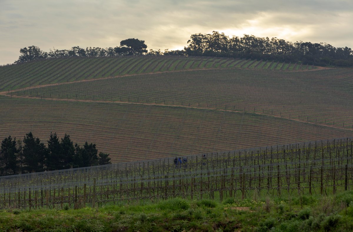 Those wintery strolls around the farm at dusk.