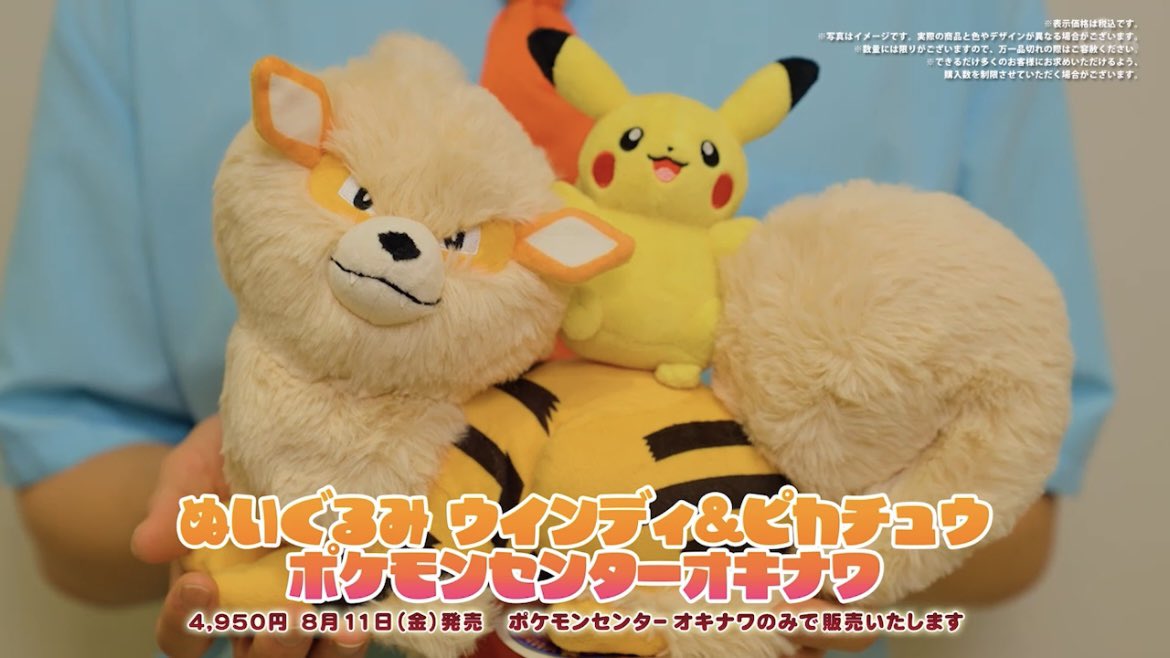 新品タグ付■ポケセンオキナワ限定　ウインディとピカチュウぬいぐるみ　おまけつき