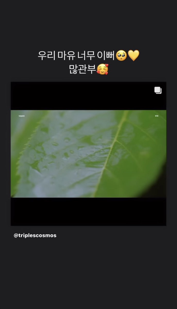 moanamedia's tweet photo. moana.nny17 instagram update

She reposted tripleS S16's Mayu's introductory video!!

Rough trans:
My Mayu is so pretty 🥺💛
Please give her lots of attention (slang) 🥰 https://t.co/pwWSoB2uLv