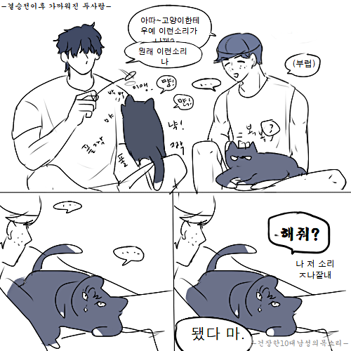 말하는 준냥이