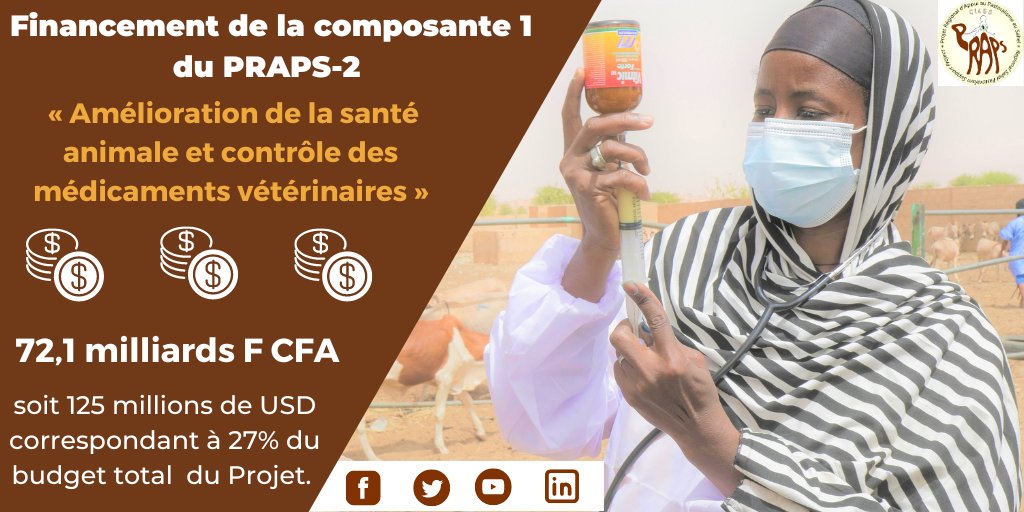 praps_regional's tweet photo. 𝐅𝐢𝐧𝐚𝐧𝐜𝐞𝐦𝐞𝐧𝐭 𝐝𝐮 𝐏𝐑𝐀𝐏𝐒-𝟐 𝐩𝐚𝐫 𝐜𝐨𝐦𝐩𝐨𝐬𝐚𝐧𝐭𝐞
Composante 1 : « Amélioration de la #santeanimale et contrôle des médicaments vétérinaires »
𝟕𝟐,𝟏 𝐦𝐢𝐥𝐥𝐢𝐚𝐫𝐝𝐬 𝐅 𝐂𝐅𝐀, soit 125 millions de USD, soit 27% du budget total du Projet.
@Banquemondiale https://t.co/iMcygWH9AT