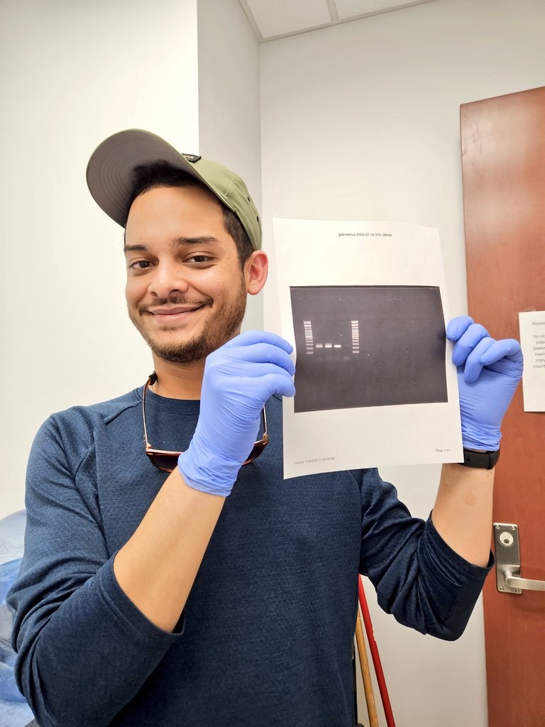 Not perfect but the cleanest species specific run thus far so gonna take it as a win 💪🏽stay tuned for some cool work with Meloidogyne enterolobii coming out soon! 🗺

#UFNematodes 
#LaborOmniaVincit