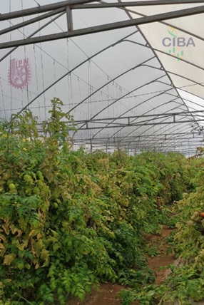 Erika I. Pérez A. tweet media