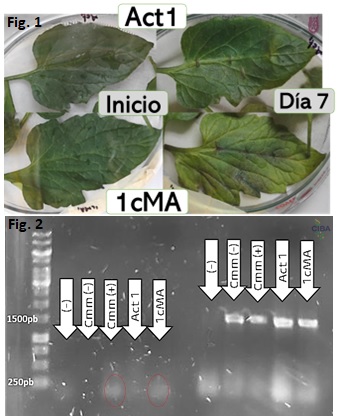 Erika I. Pérez A. tweet media