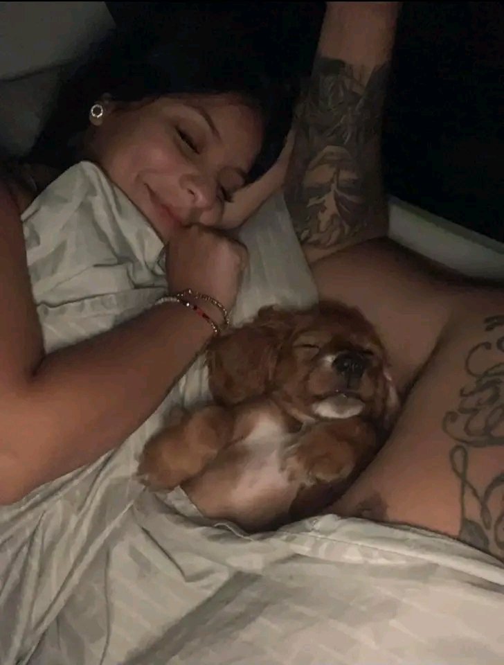 Metas🥺
